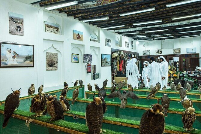 Doha Layover City Tour - Price and value: why $78 can work on a tight schedule