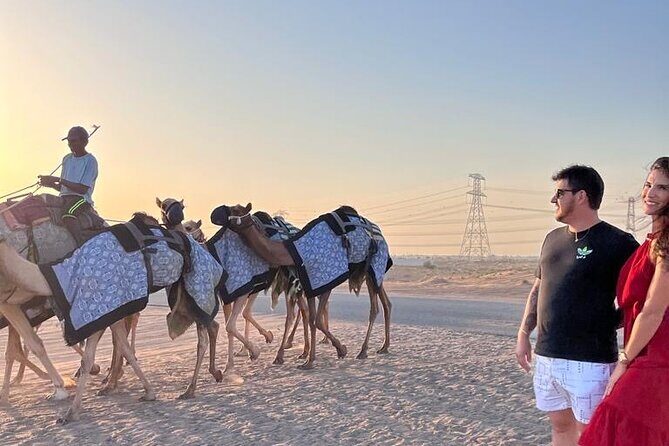 Doha Layover or Doha Stopover Tour with Desert & City Tour - Key highlights to know before you go