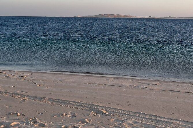Doha Layover or Doha Stopover Tour with Desert & City Tour - How this Doha layover tour fits your schedule