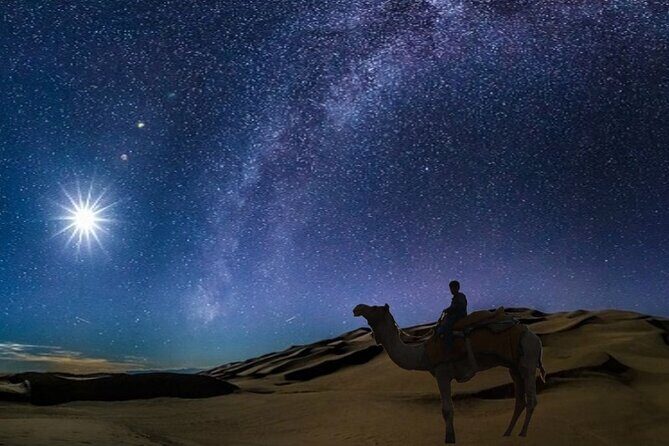 Doha Night Desert Safari Camel Ride Dune Bashing with Transfer - A Doha night safari works because you go after dark