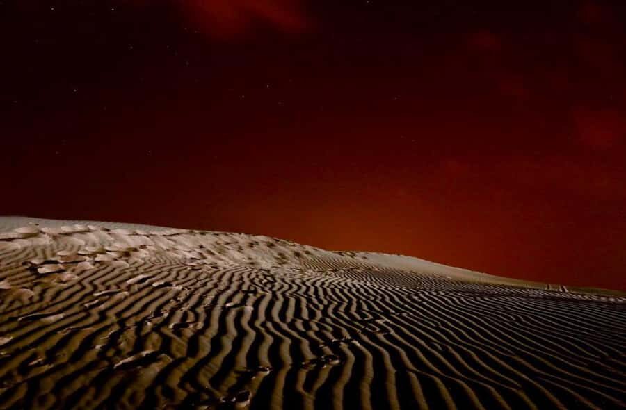 Doha Night Desert Safari Stargazing And Camel Ride - Doha at night: why this desert safari feels different
