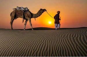 Doha Night Desert Safari Stargazing And Camel Ride - Timing, transport, and why the pickup matters