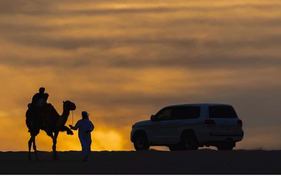 Doha Night Desert Safari Stargazing And Camel Ride - Swimming at Inland Sea: fun, but come prepared