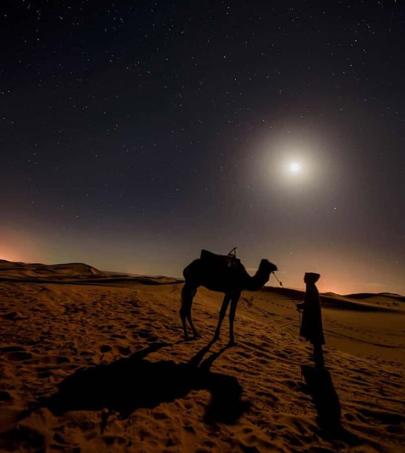 Doha Night Desert Safari Stargazing And Camel Ride - Price and value: what $24 gets you for a night of real variety