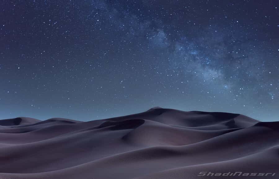 Doha Night Desert Safari Stargazing And Camel Ride - Who this is best for (and who should think twice)