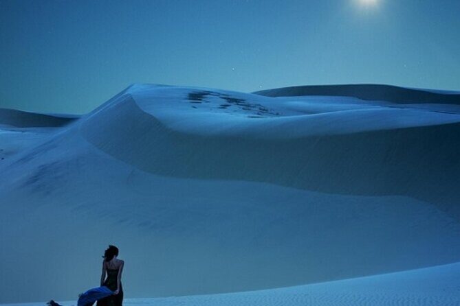 Doha Night Desert Safari Stargazing Dune Drive Camel Ride - Private group energy and how long the whole outing really takes