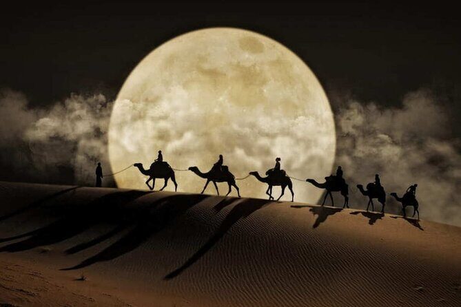 Doha Night Desert Safari Stargazing Dune Drive Camel Ride - Stop 1 to Stop 2: Sealine Beach, where sand meets the sea