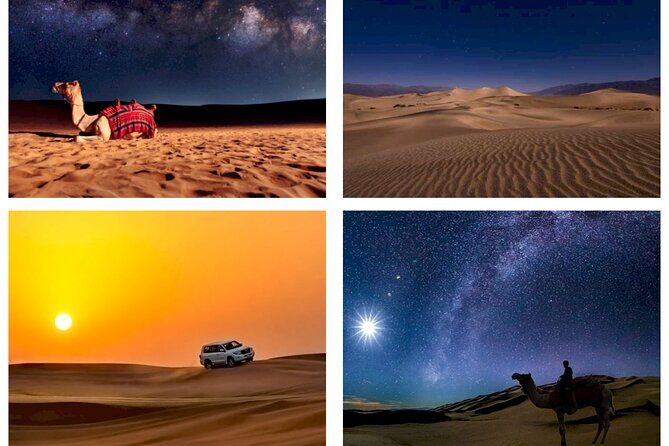 Doha : Night Desert Safari | Transit Safari | Camel ride | Dune Bashing - How the Doha-to-Desert Drive Sets the Tone