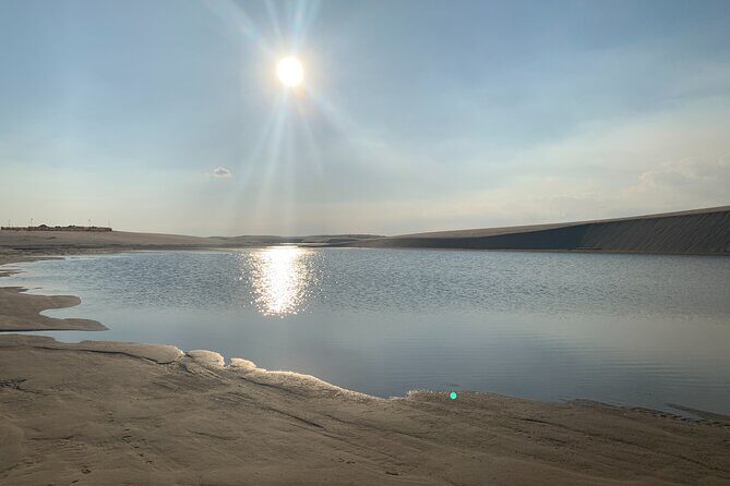 Doha : Night Desert Safari | Transit Safari | Camel ride | Dune Bashing - Transit Safari Touch: City Stories on the Way Out