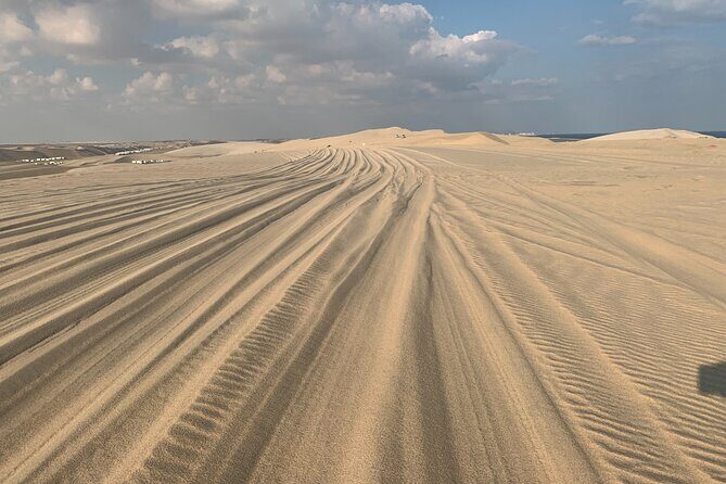 Doha : Night Desert Safari | Transit Safari | Camel ride | Dune Bashing - Who This Safari Suits Best