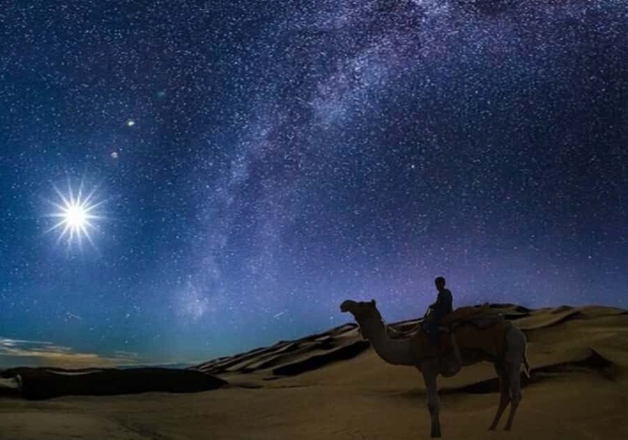 Doha: Night Desert Safari with Stargazing & Camel Ride - Dune bashing in a premium Toyota Land Cruiser: fun, fast, and not for everyone