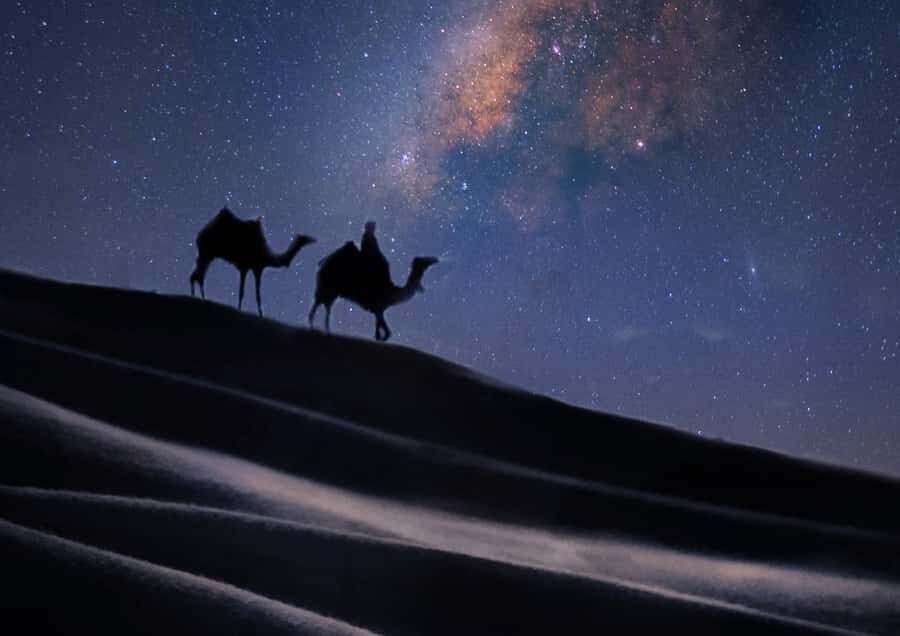 Doha: Night Desert Safari with Stargazing & Camel Ride - Stops, timing, and why the itinerary feels smooth