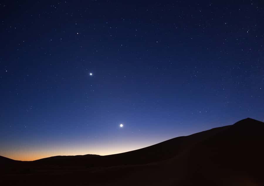 Doha: Night Desert Safari with Stargazing & Camel Ride - Who should book this night desert safari, and who should skip it