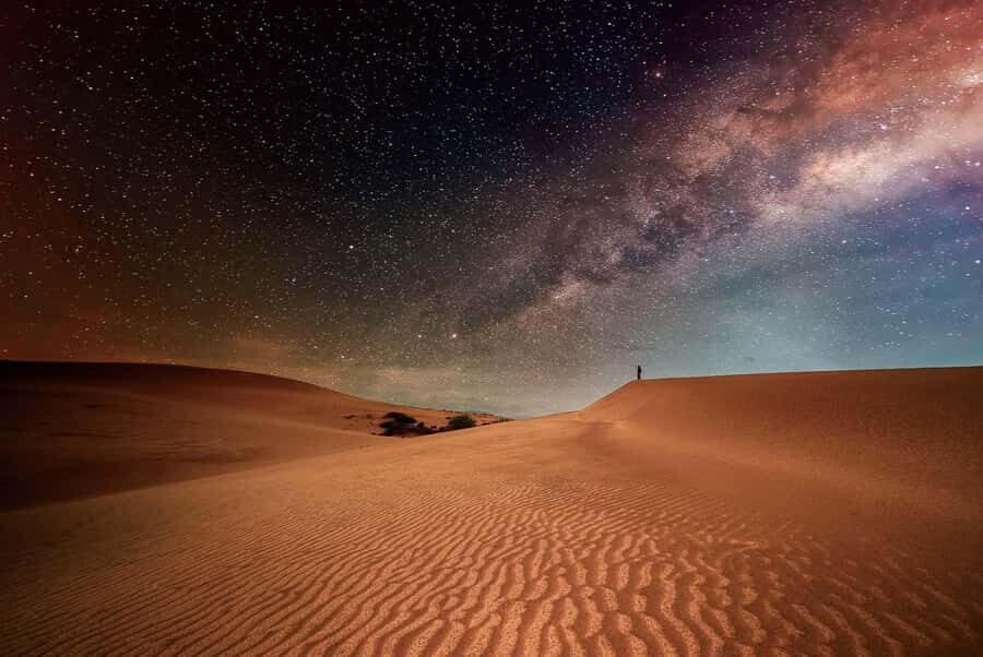 Doha: Nighttime Desert Safari with Dune Bashing & Camel Ride - Key Highlights You’ll Feel Fast