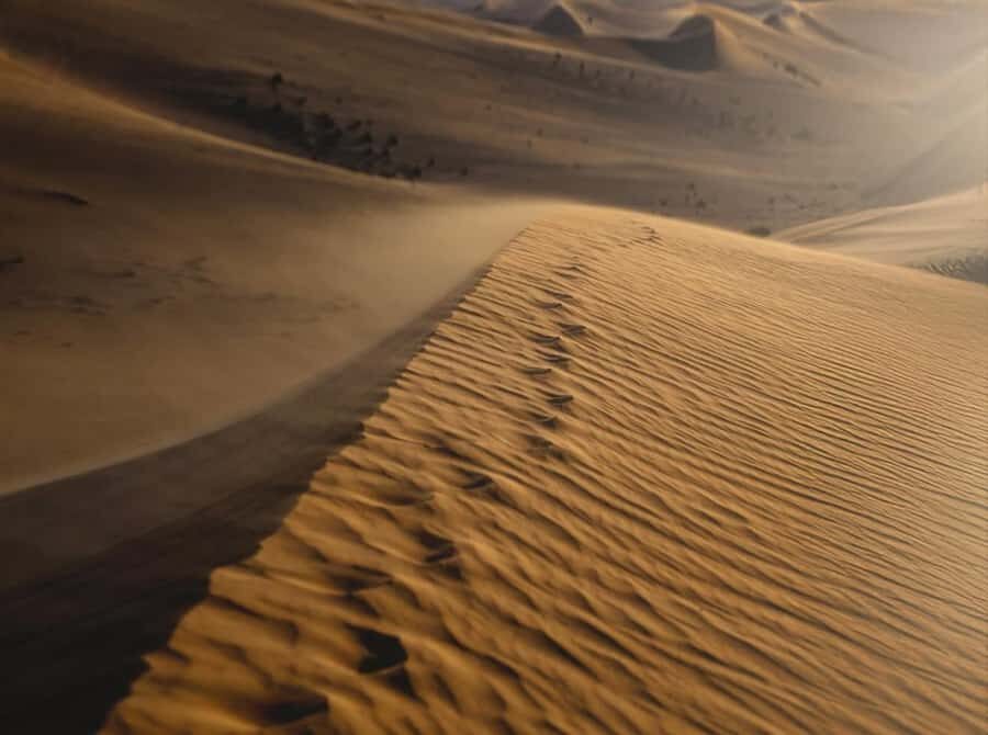 Doha: Nighttime Desert Safari with Dune Bashing & Camel Ride - Who Should Book This Night Safari (and Who Should Skip)