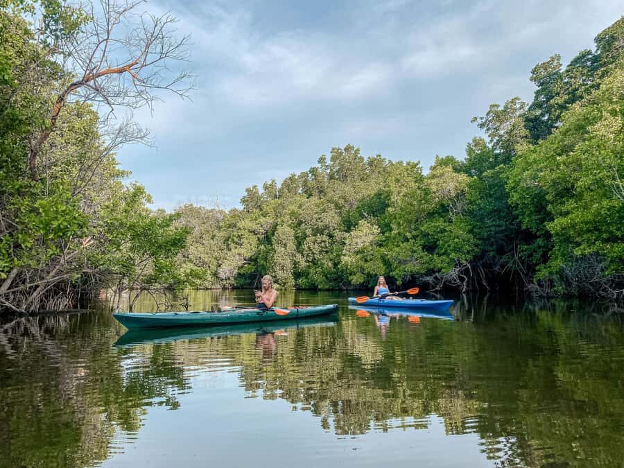 Doha: North Qatar Tour, Mangroves, & Zubara Fort and purple - Key highlights you’ll feel immediately