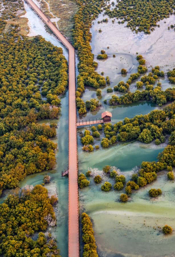 Doha North Qatar Tour Zubara Fort, Mangroves, Jumail Village - Quick hits before you go