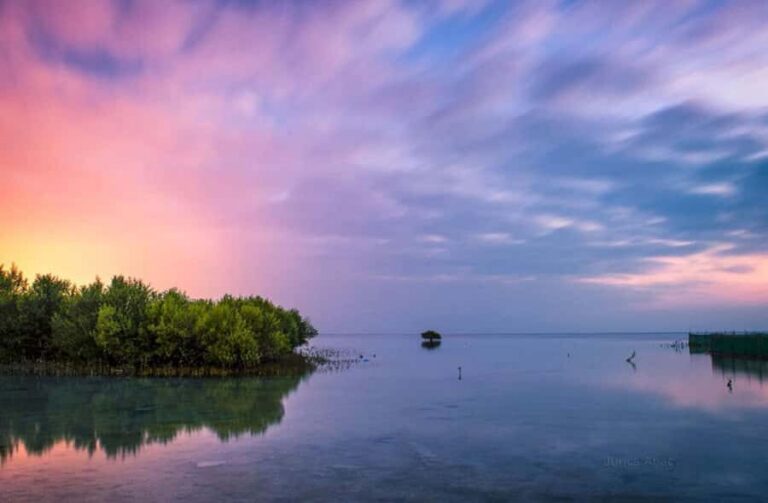 Doha North Qatar Tour Zubara Fort, Mangroves, Jumail Village - Doha to Al Khor: the harbor that once ran the show