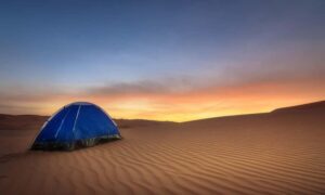 Doha: Overnight Desert Safari with Dinner and Breakfast - Getting There in a Land Cruiser: Comfort, Control, and the Right Kind of Speed