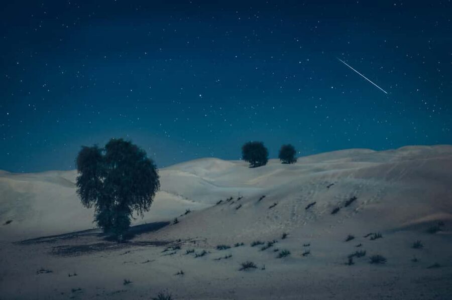 Doha: Overnight Desert Safari with Dinner and Breakfast - Sandboarding and the Optional Camel Ride: Two Ways to Play on the Dunes