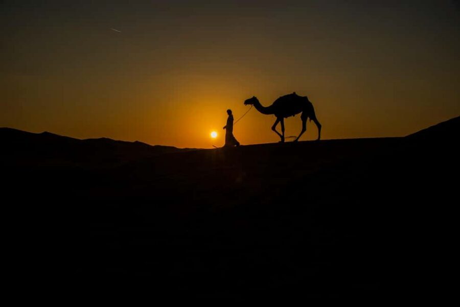 Doha: Overnight Desert Safari with Dinner and Breakfast - Price and Value: What $207 Really Buys in an Overnight Desert Safari
