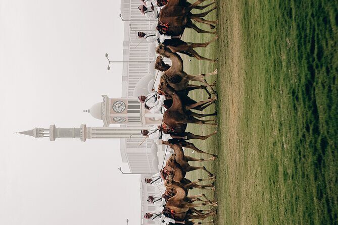 Doha: Private City Tour - FAQ