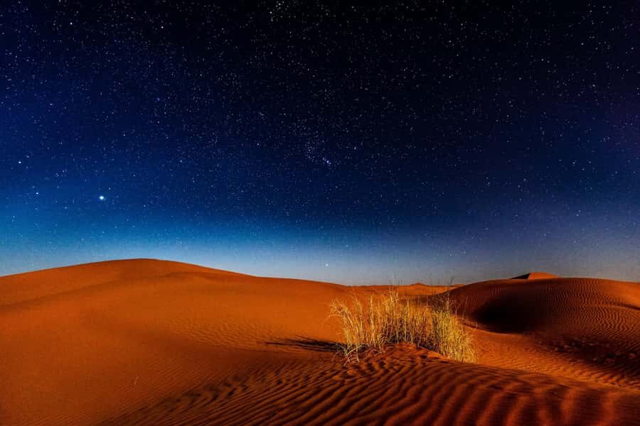 Doha: Private Desert Safari at Night with Stargazing - Mesaieed to Inland Sea at Night: What This Safari Feels Like