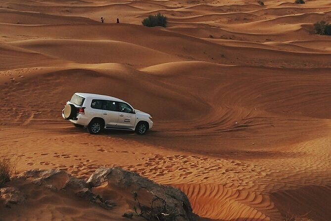 Doha Private Half-Day Guided Desert Safari Tour - The Big Picture: A Half-Day Safari That Doesn’t Drag