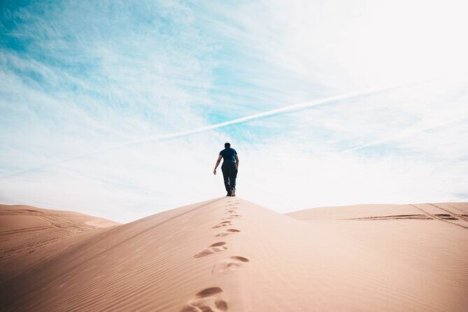 Doha Private Half-Day Guided Desert Safari Tour - Price and Value: What $60 Buys You Here