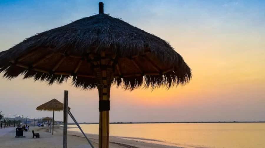 Doha: Private North Qatar Tour, Mangroves, & Zubara Fort - North Qatar in 4 Hours: is $142 a good value?