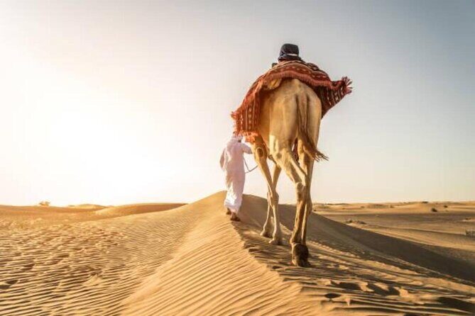 Doha Qatar ATV Quad Bike Buggy Desert Adventure and Camel Ride - Khor Al Adaid (Inland Sea): why this stop feels special