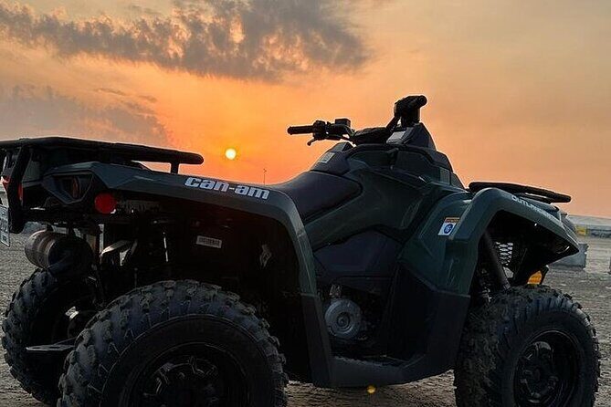 Doha Qatar ATV Quad Bike Buggy Desert Adventure and Camel Ride - ATV vs buggy vs UTV: dune riding rules that feel safe