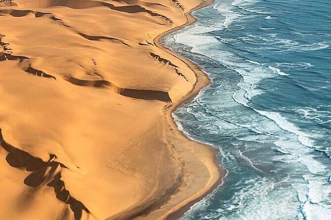Doha Quad Bike, Dune Bashing, Camel Ride and Inland Sea Tour - Why This Doha Desert Safari Packs So Much Into 4 Hours