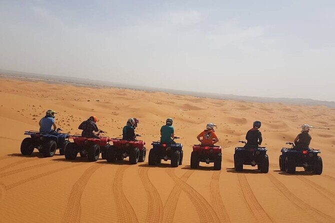 Doha Quad Bike, Dune Bashing, Camel Ride and Inland Sea Tour - Camel Ride on Your Way In: The Calmer Side of the Desert