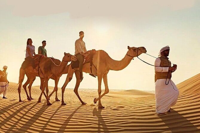 Doha Quad Bike, Dune Bashing, Camel Ride and Island Sea Tour - Quad Bike rules in Qatar: thrilling, but not lawless