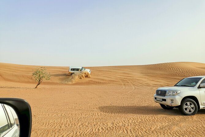 Doha Quad Bike, Dune Bashing, Camel Ride and Island Sea Tour - Time, price, and value: is $100 actually fair?