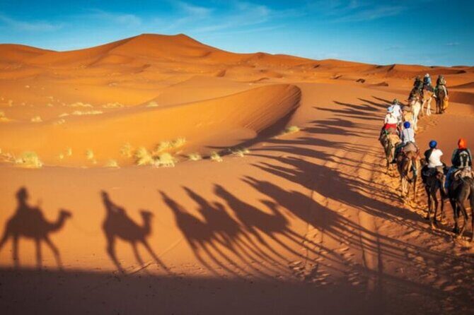 Doha Quad Bike, Dune Bashing, Camel Ride and Island Sea Tour - Who this Qatar desert circuit fits best