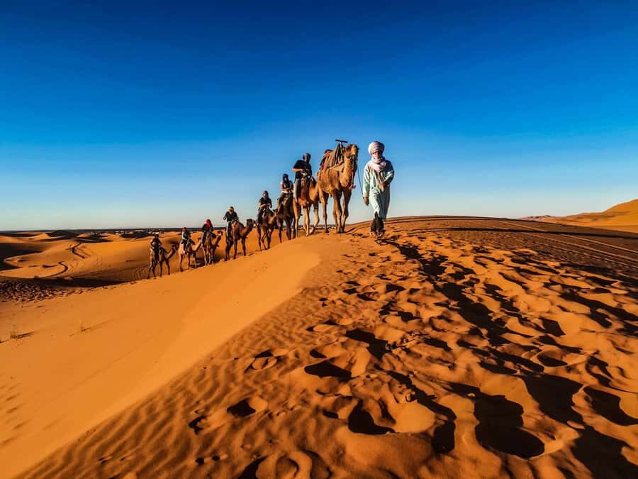 Doha: Quad Bike, Dune Bashing, Camel Ride & Inland Sea Tour - Who Should Book This Desert Combo, and Who Should Skip
