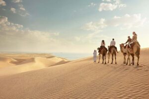 Doha: Quadbike, Dune Bashing, Camel Ride, Inland Sea Visit - Quadbike at Sealine Beach: what you can expect from the tracks