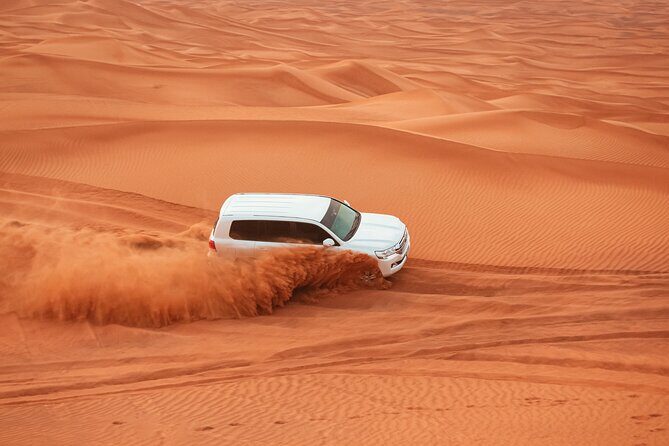 Doha: Quadbike, Dune Bashing, Camel Ride, Inland Sea Visit - Camel ride: why the slower pace is worth it