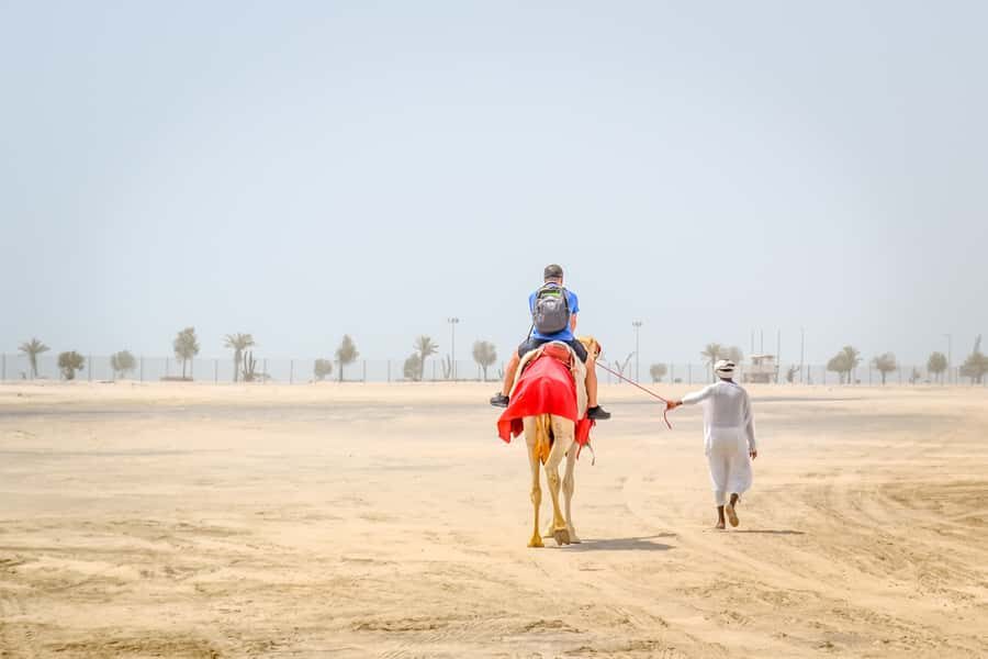 Doha: Safari, ATV, Camels, Sandboarding and Inland Sea Tour - Camel ride on Doha’s sands: short, fun, and good for first-timers