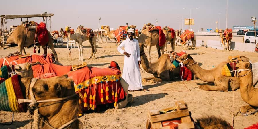 Doha: Safari, Camel Ride, Sandboarding and Inland Sea Tour - Price and value: what you’re getting for about $13