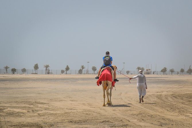 Doha: Safari, Dune bashing, Camel Ride, Sandboarding & Inland Sea - Timing and Group Size: How to Choose Morning or Afternoon