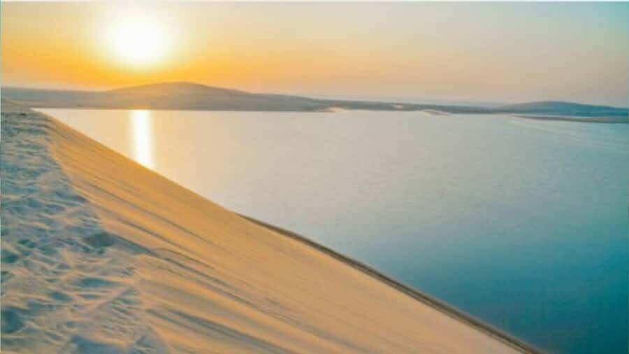 Doha :Sunrise/ Sunset Desert Safari CamelRide & Sandboarding - Sandboarding: Fun Even If You’ve Never Done It