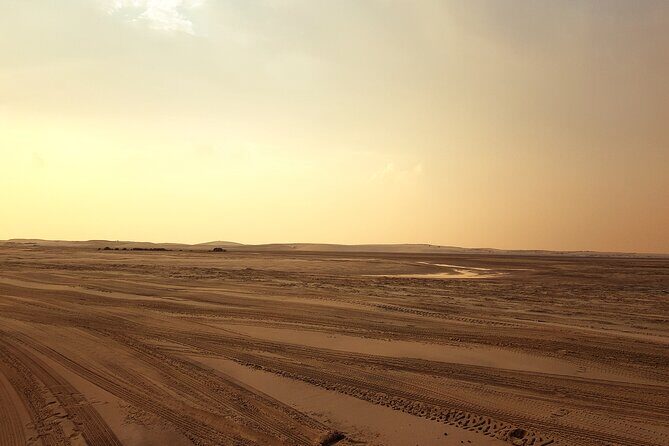 Doha: Sunrise /Sunset Desert Safari with Sand Boarding,Camel ride - Khor Al Udaid Inland Sea: UNESCO-Linked Nature With Wildlife Chances