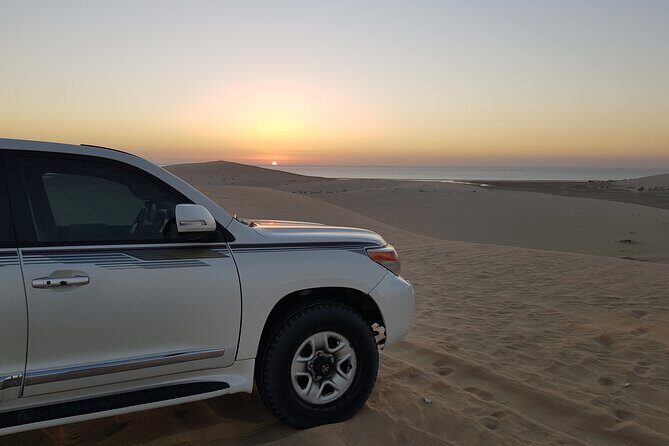 Doha: Sunrise /Sunset Desert Safari with Sand Boarding,Camel ride - Price and Value: What $49 Buys in Doha
