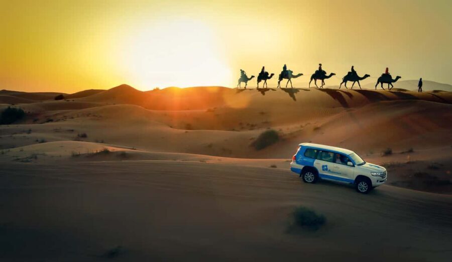 Doha: Sunset Desert Safari, ATV, Camel Ride and Sandboarding - Key Points You Should Know First