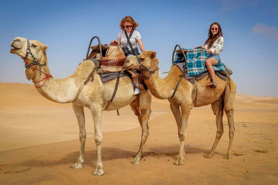 Doha: Sunset Desert Safari, ATV, Camel Ride and Sandboarding - A Quick Camel Ride Stop That Feels Like Qatar