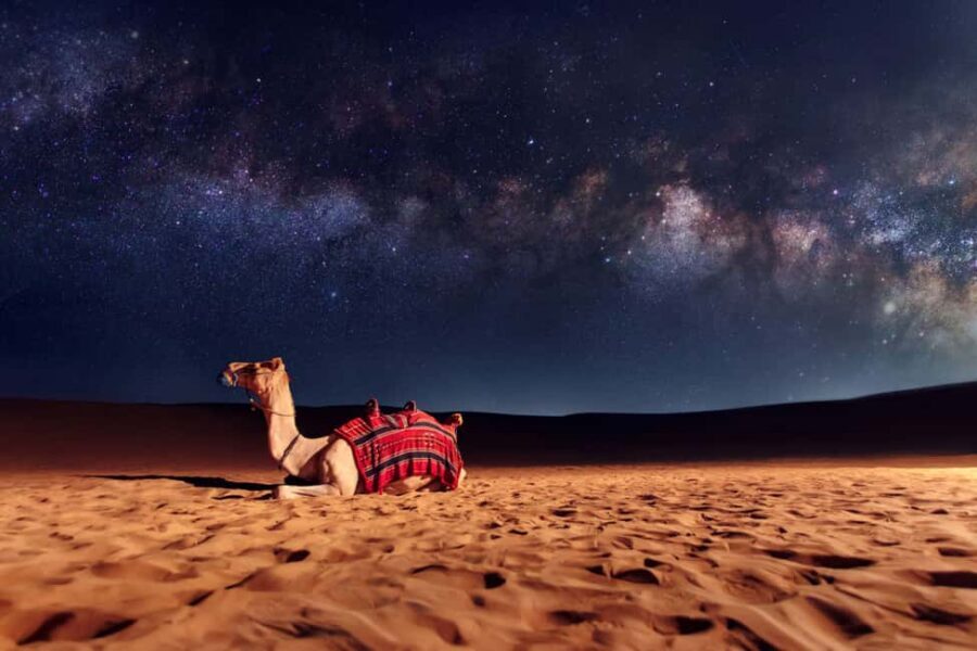 Doha: Sunset Desert Safari, ATV, Camel Ride and Sandboarding - The Thrill Part: Dune Bashing in a 4x4 SUV