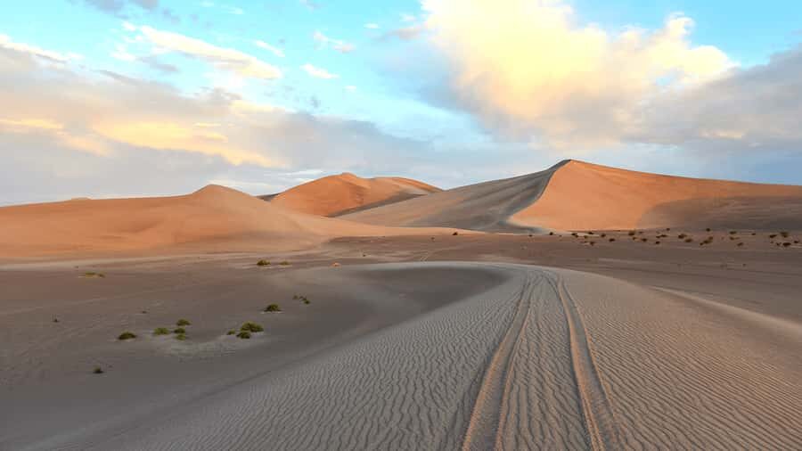 Doha: Sunset Safari, Dune Bashing, Sandboarding & Camel Ride - Price and value: is $29 worth it for 4 hours?